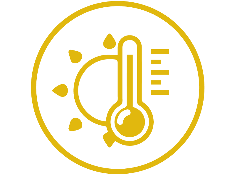 icon-isolierung-800